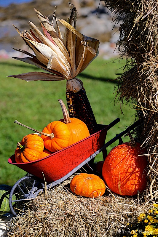 "Fall Harvest"
