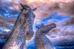 The Kelpies