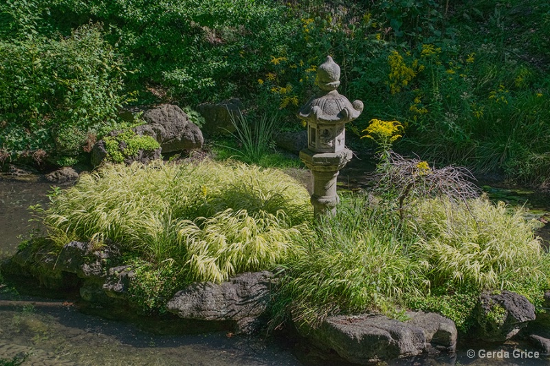 In the Ornamental Pool in HIgh Park