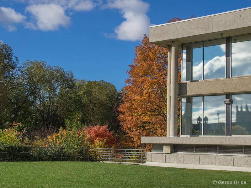 An Autumn Day on the U of T Campus