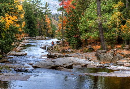 Hiking Wildcat River