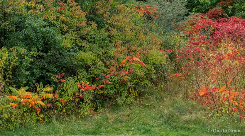 Early Autumn in Toronto