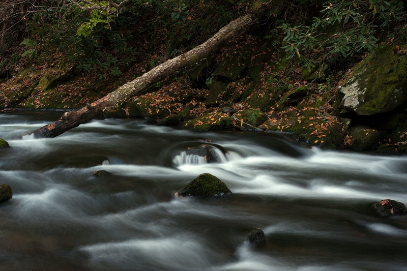 Fallen to the River