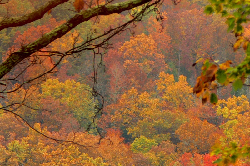 autumn in Smoky Mountains