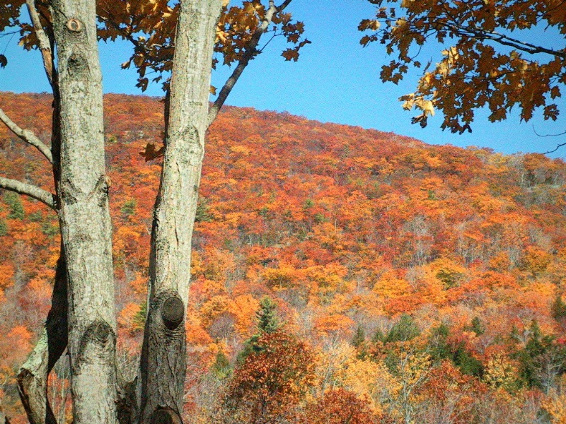 smokey mountains