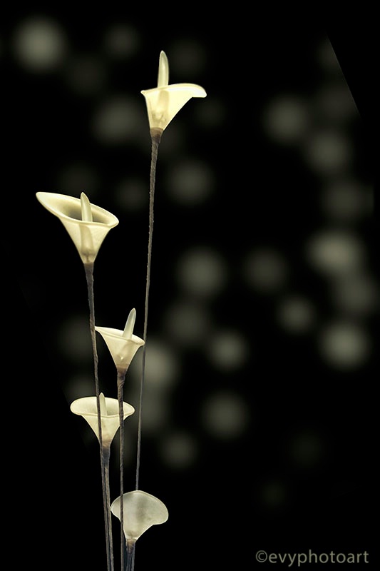 Luminous Glass Callas