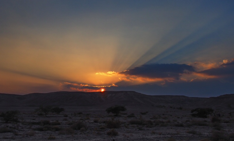 sunset in the desert.