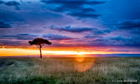 African Sunset