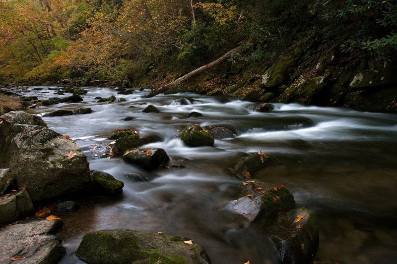 Natahala River Beauty