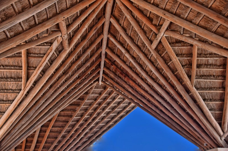 RUSTIC  CEILING