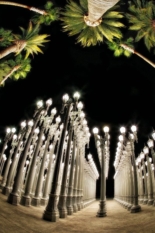 Lampposts and Palms