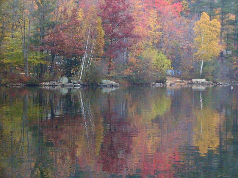 fall reflection