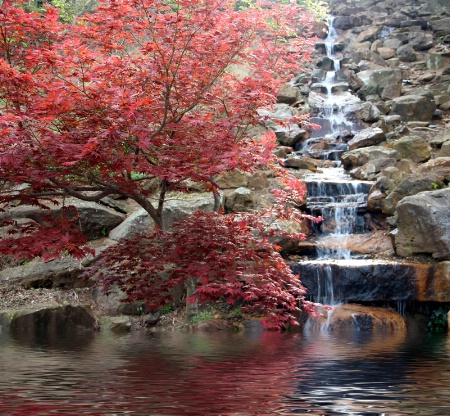 Waterfall and Reflection