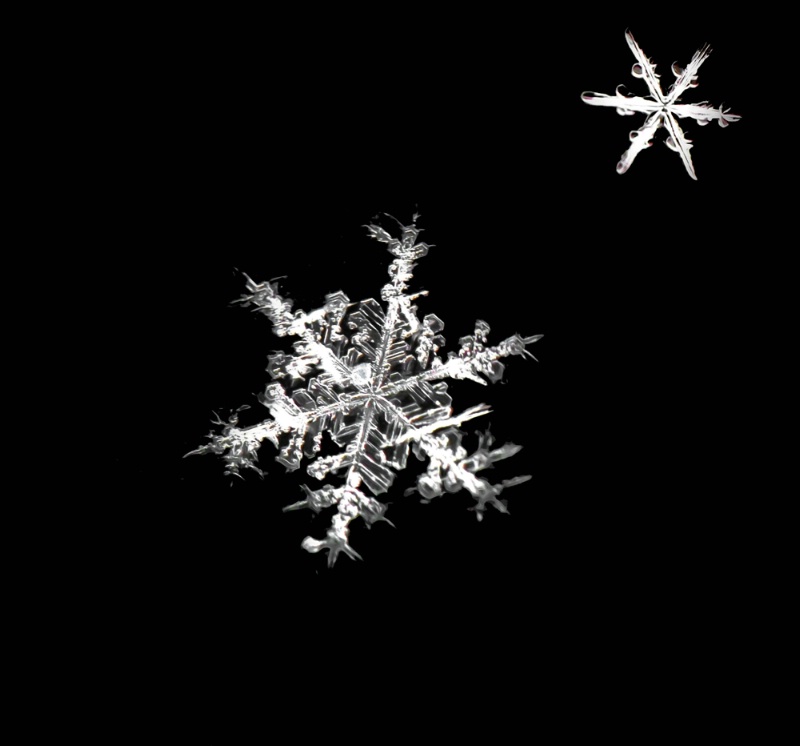 Snowflakes On My Window