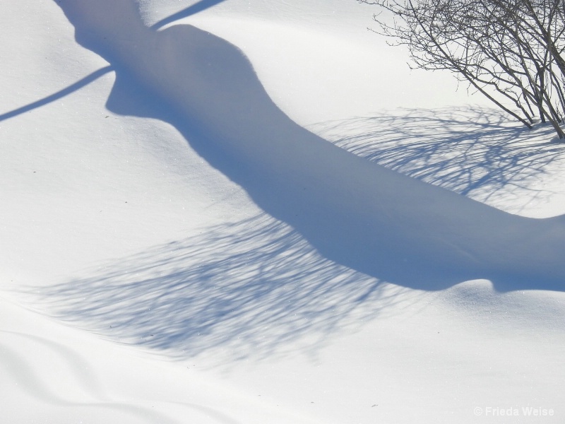 Snow Shadows - ID: 15081408 © Frieda Weise
