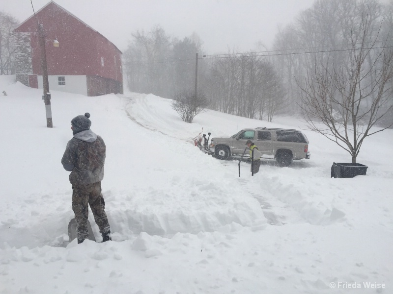 Plowing - ID: 15081420 © Frieda Weise
