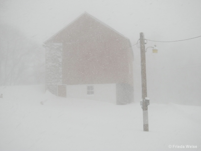 Snowed in - ID: 15081421 © Frieda Weise