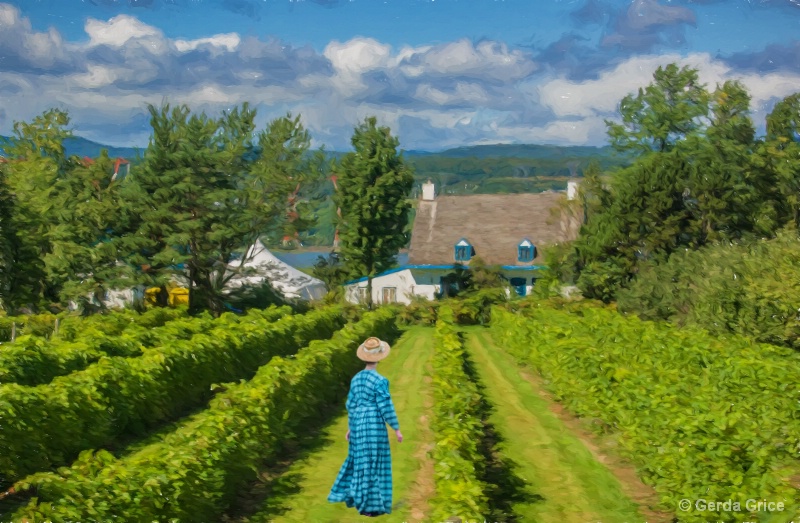 Young Woman in Vineyard on Ile d