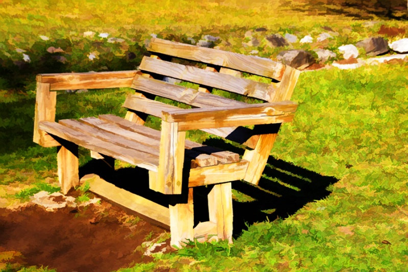 A  BENCH  AT  THE  PARK