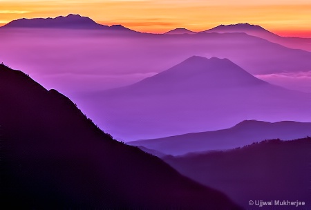 Purple Sunrise