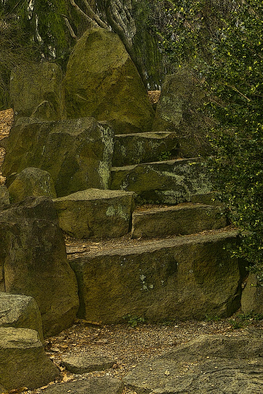 Natural Steps