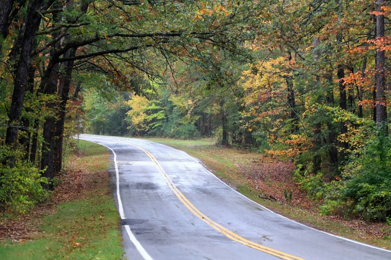 Colorful Autumn Roads At Beavers Bend