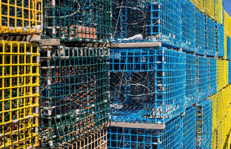 A Wall of Lobster Traps