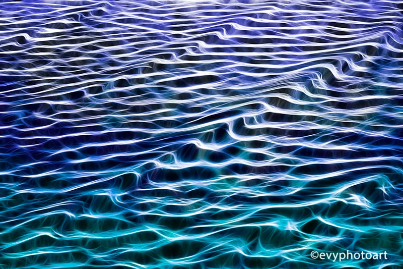 Waves in the Water's Edge