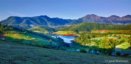 The Photo Contest 2nd Place Winner - Sun-kissed Valley