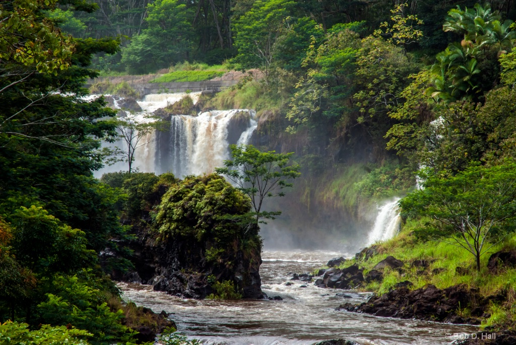 Jungle Falls