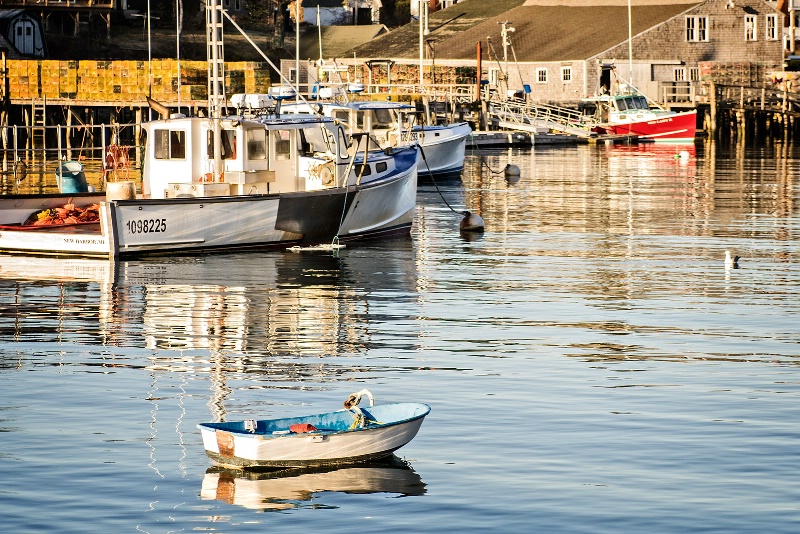 New Harbor Docks