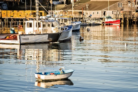 New Harbor Docks