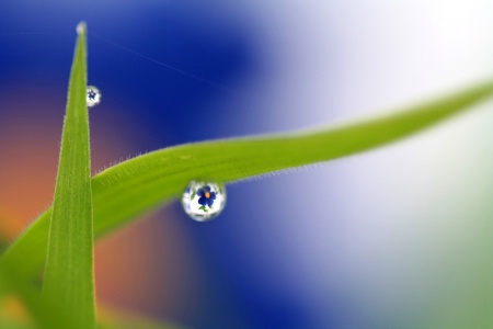 Reflections In The Raindrops