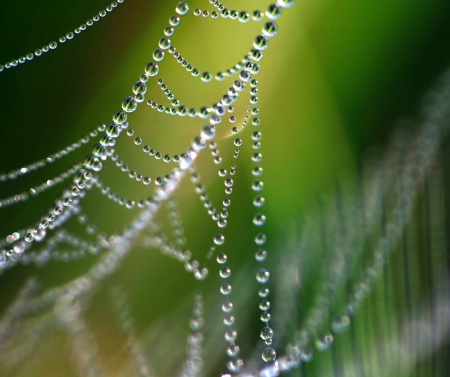 Beautiful Links