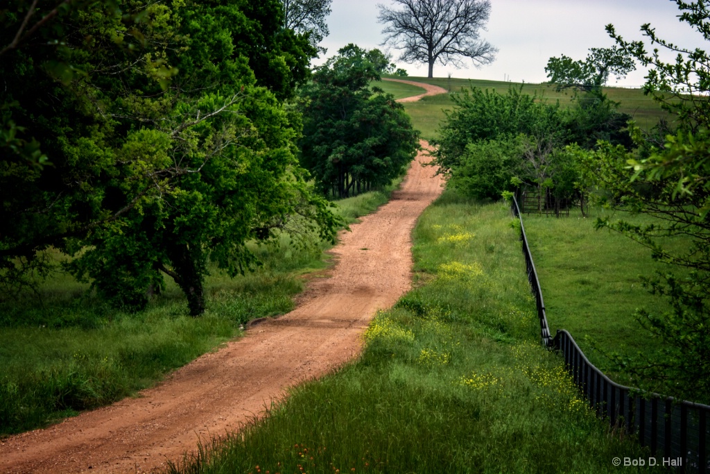 Texas Up The Hill