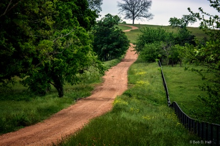 Texas Up The Hill