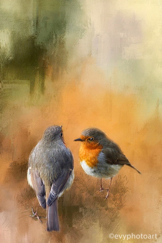 Robins