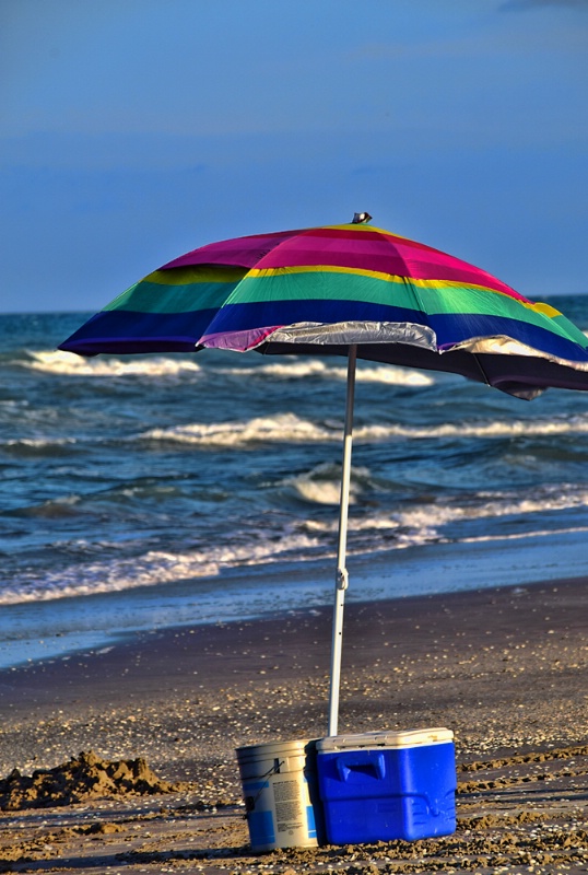 MULTICOLOR  UMBRELLA