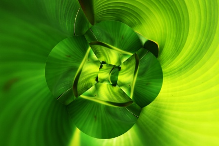 GREEN  ABSTRACT