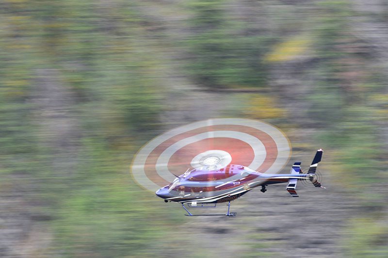 Flyby-bull's eye - ID: 15189116 © Serena Pierce