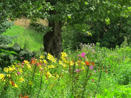 Flowers And Tree