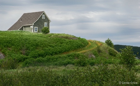 House on a Hill in Newfoundland