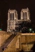 Notre Dame  in th...