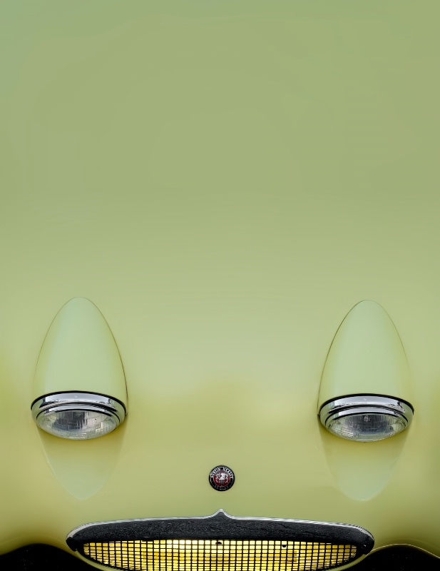 Frog Eyes