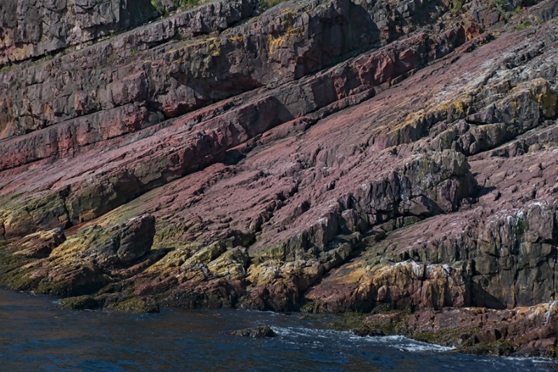Colours and Textures of Cliff Face, Bay Bulls