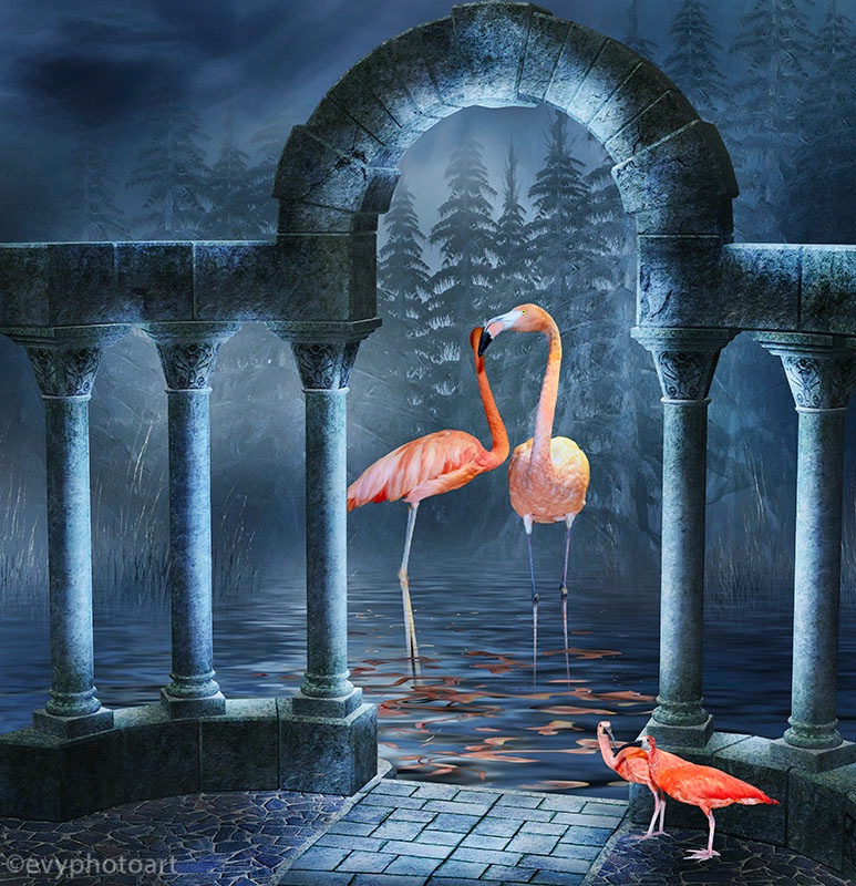 Flamingos and Ibis