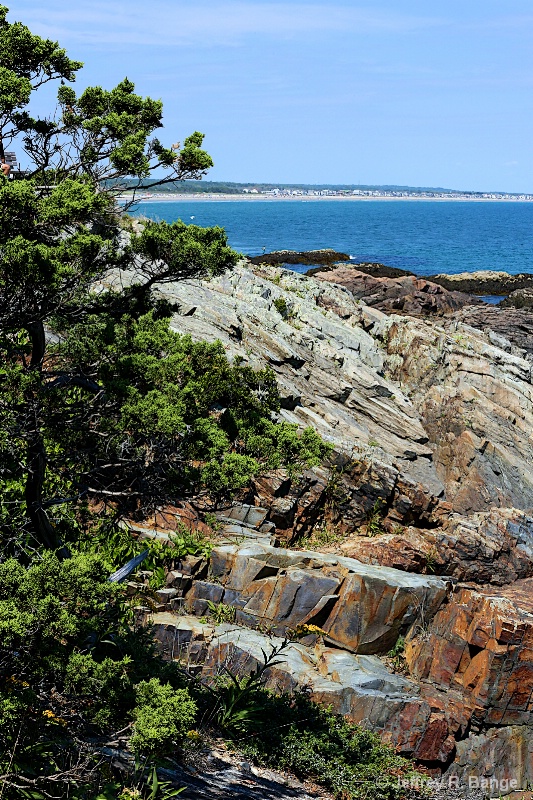 "Rocky Coastline Of Maine"