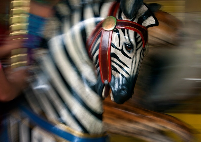 Zebra on the Go