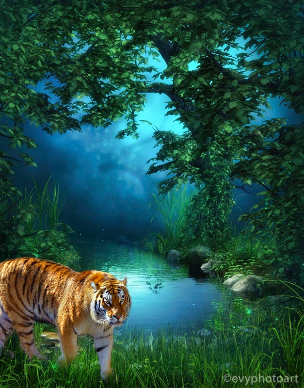 Lonely Tiger