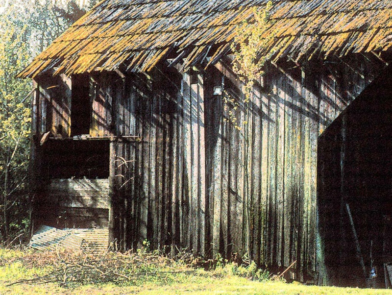 Mossy Barn